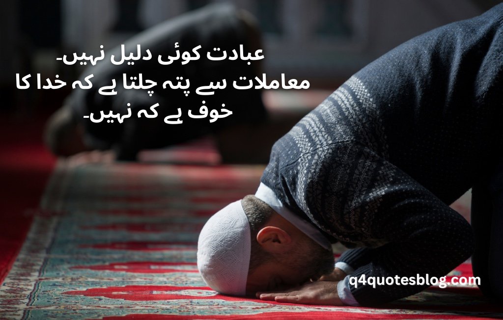 WhatsApp Image 2025-06-30 at 8.46.24 PM