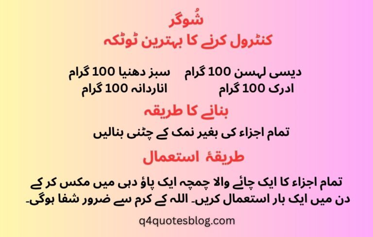 WhatsApp Image 2025-07-19 at 3.53