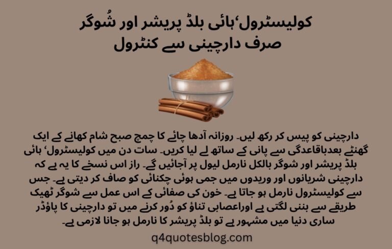 WhatsApp Image 2025-07-19 at 3.53