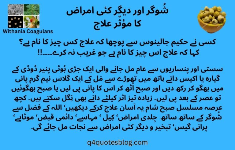 WhatsApp Image 2025-07-19 at 3.53