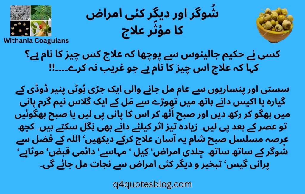 WhatsApp Image 2025-07-19 at 3.53