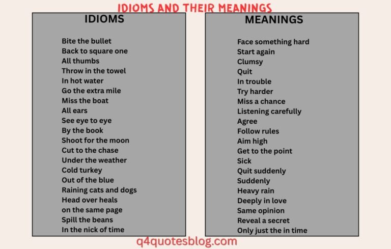 WhatsApp Image 2025-07-25 at 4.29