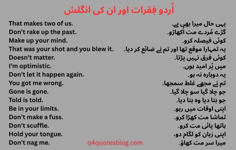 WhatsApp Image 2025-07-25 at 4.29