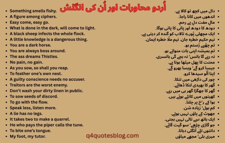 WhatsApp Image 2025-07-25 at 4.29