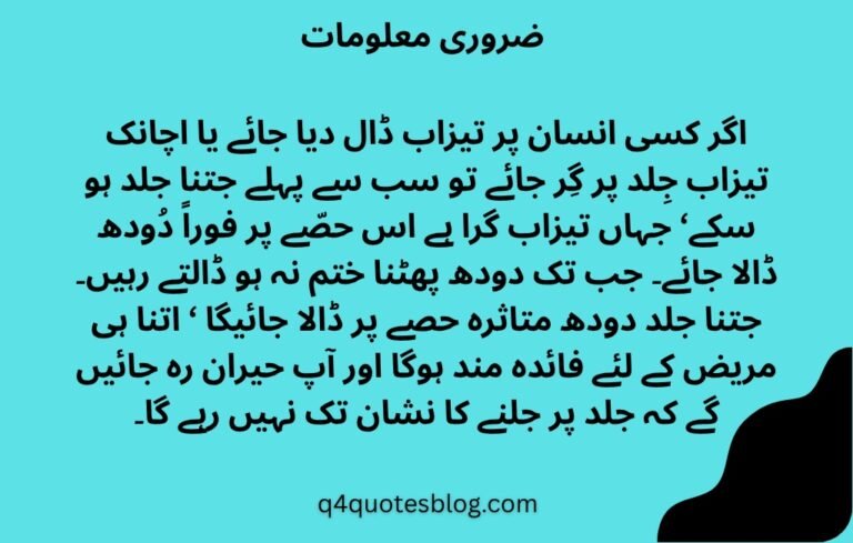 WhatsApp Image 2025-07-25 at 4.29