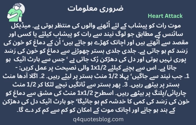 WhatsApp Image 2025-07-25 at 4.29