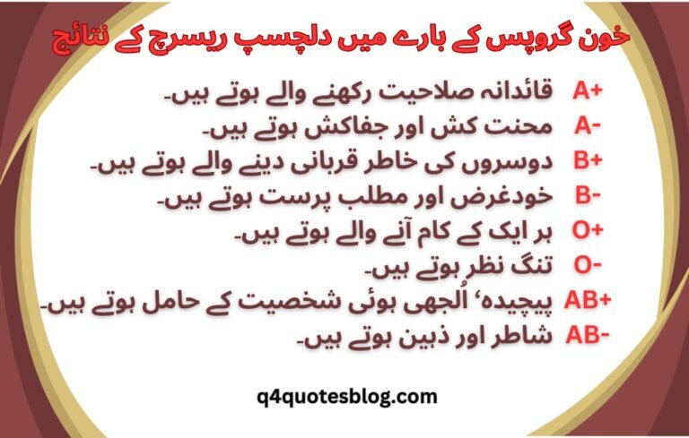 WhatsApp Image 2025-07-25 at 4.29