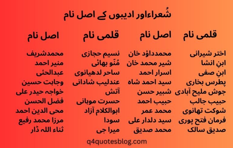WhatsApp Image 2025-07-25 at 4.29