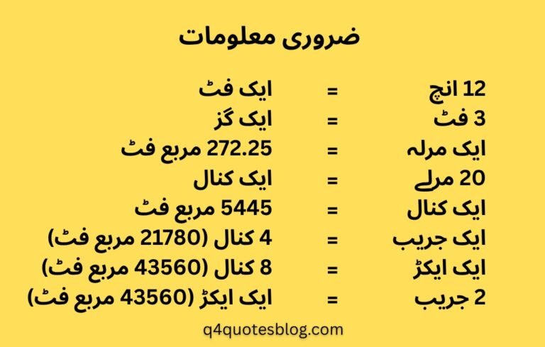 WhatsApp Image 2025-07-25 at 4.29