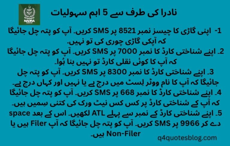 WhatsApp Image 2025-07-25 at 4.29